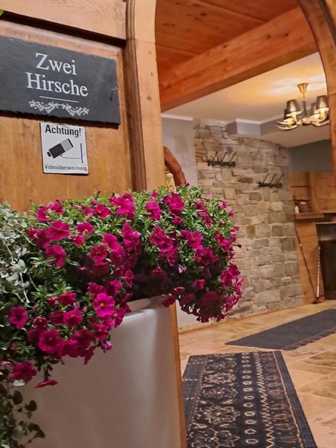 Zwei Hirsche Seefeld in Tirol